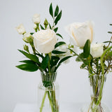 Two clear glass vases with white roses on a light gray background