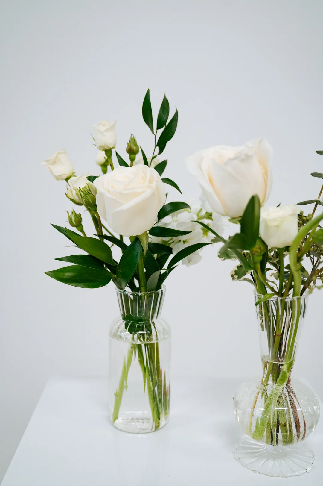 Two clear glass vases with white roses on a light gray background