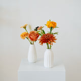 Two white vases with flowers on a white pedestal against a light gray background available for pick-up and delivery in Central, Ohio