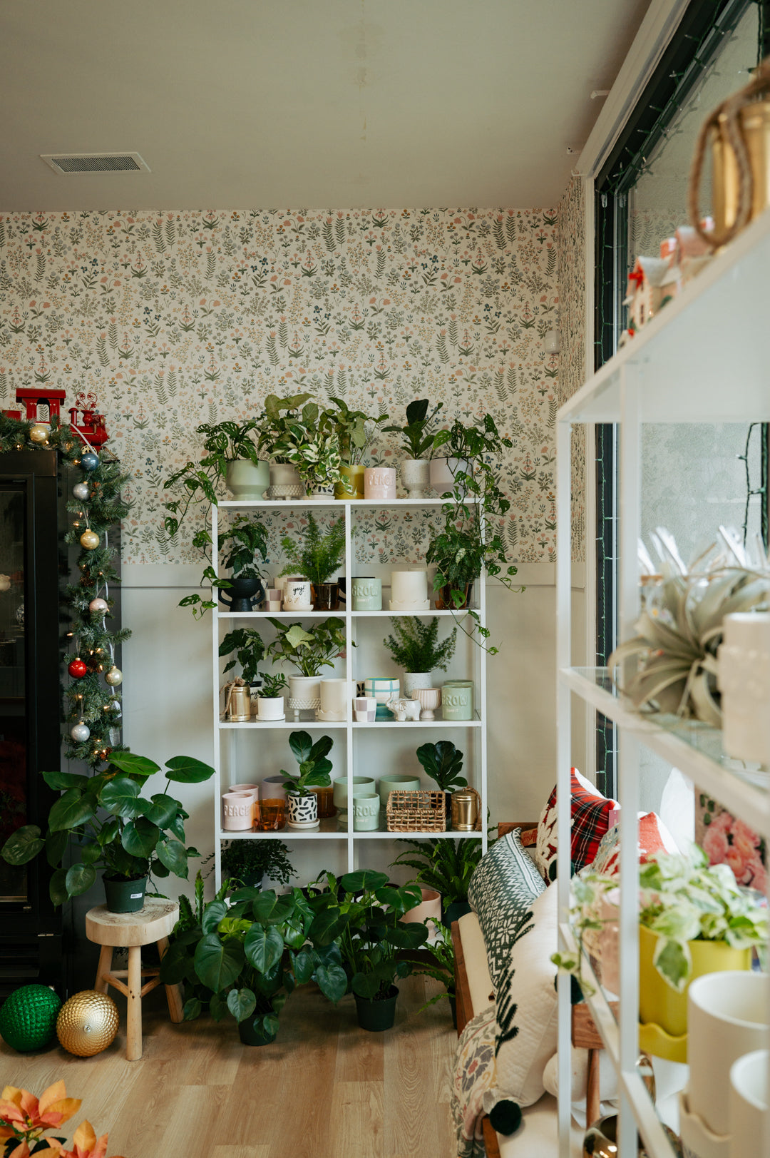 Sunlit indoor plant shop filled with leafy houseplants on white shelves, festive ornaments, patterned wallpaper, and a cozy chair, creating a warm, peaceful atmosphere.