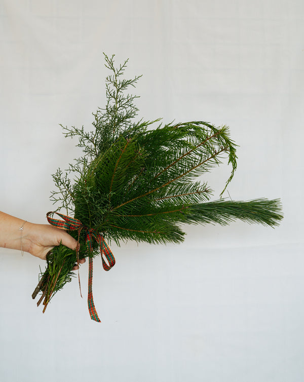 A hand holds a rustic evergreen bouquet of pine and cedar branches tied with a red-and-green plaid ribbon against a plain white background, evoking a festive, natural holiday mood.