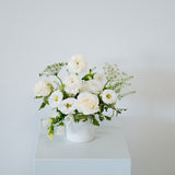 A white ceramic vase filled with a fresh floral arrangement of white roses, white ranunculus, and green foliage, displayed on a white pedestal against a plain white wall available for local pick-up and delivery in Columbus, Ohio