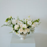 A white floral arrangement featuring white roses, peonies, and green foliage, presented in a white ribbed ceramic urn on a white pedestal against a plain white background available for local delivery and pick-up in Columbus, Ohio